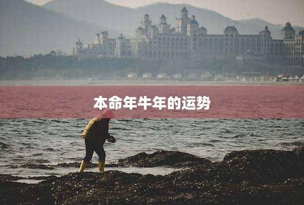 本命年牛年的运势