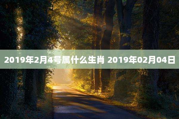 2019年2月4号属什么生肖 2019年02月04日