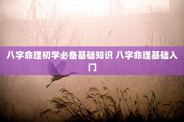 八字命理初学必备基础知识 八字命理基础入门