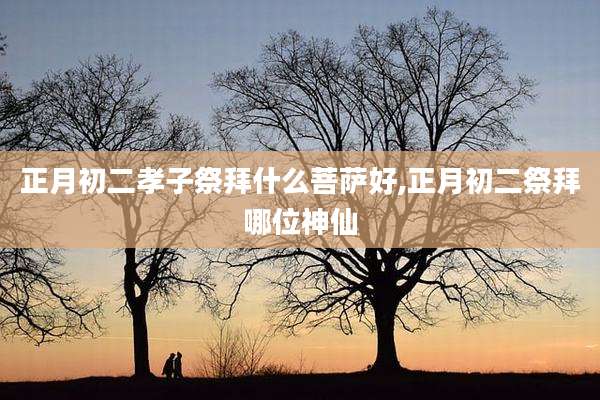 正月初二孝子祭拜什么菩萨好,正月初二祭拜哪位神仙