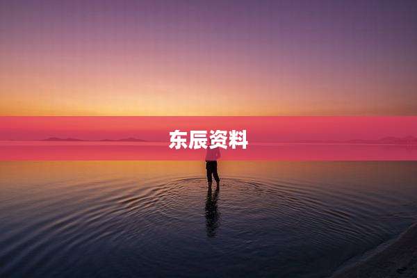 东辰资料