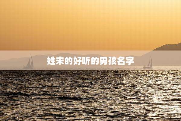 姓宋的好听的男孩名字