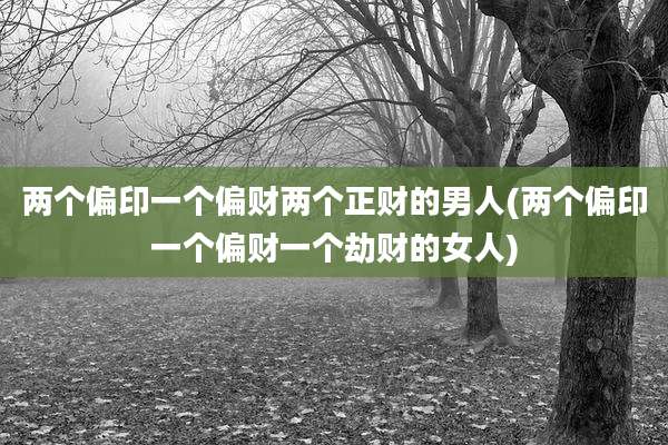 两个偏印一个偏财两个正财的男人(两个偏印一个偏财一个劫财的女人)