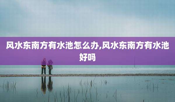 风水东南方有水池怎么办,风水东南方有水池好吗
