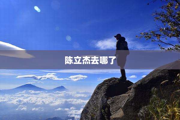 陈立杰去哪了
