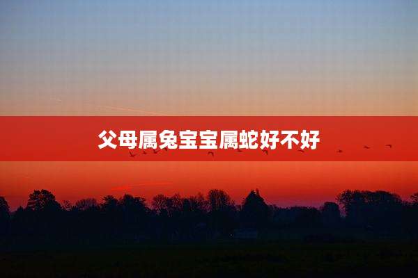 父母属兔宝宝属蛇好不好