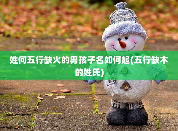 姓何五行缺火的男孩子名如何起(五行缺木的姓氏)