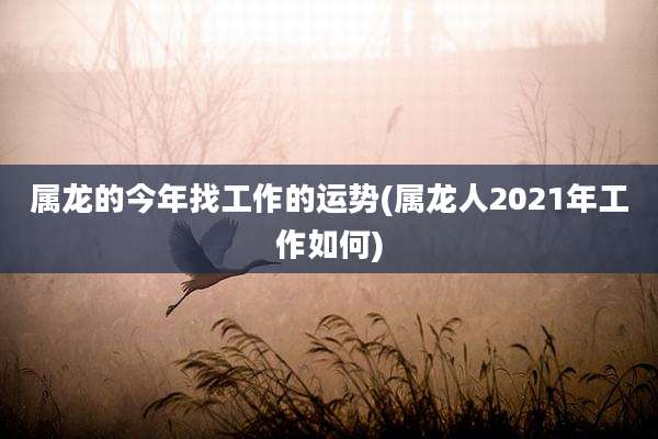 属龙的今年找工作的运势(属龙人2021年工作如何)