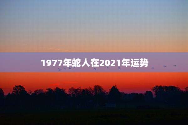 1977年蛇人在2021年运势