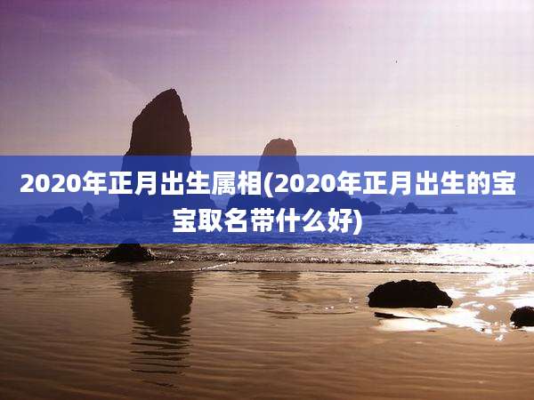 2020年正月出生属相(2020年正月出生的宝宝取名带什么好)