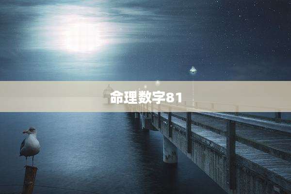 命理数字81