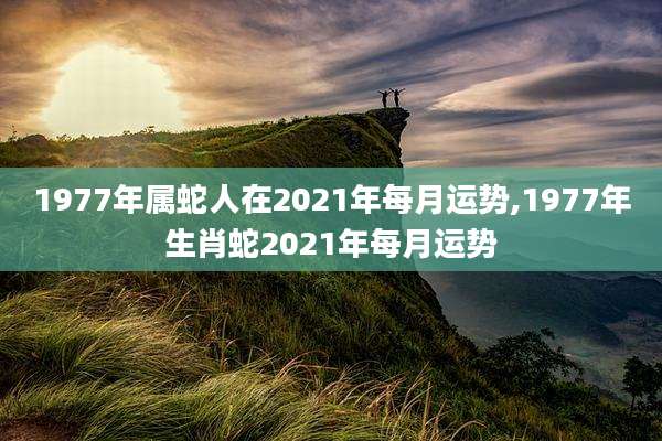 1977年属蛇人在2021年每月运势,1977年生肖蛇2021年每月运势