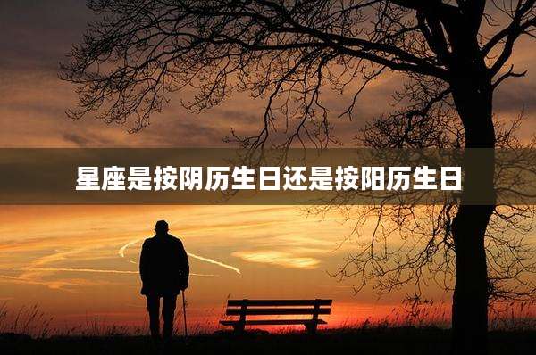 星座是按阴历生日还是按阳历生日