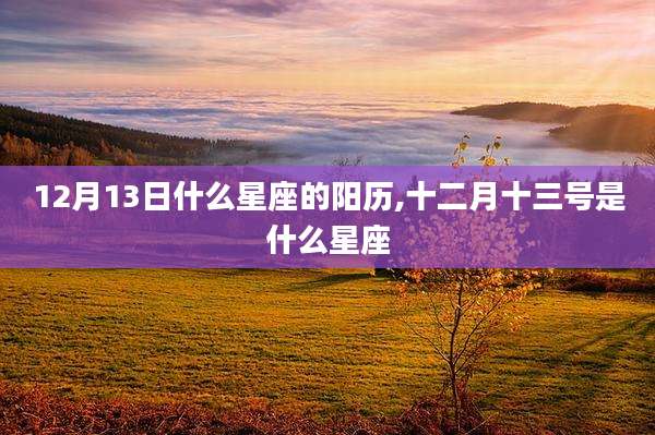 12月13日什么星座的阳历,十二月十三号是什么星座