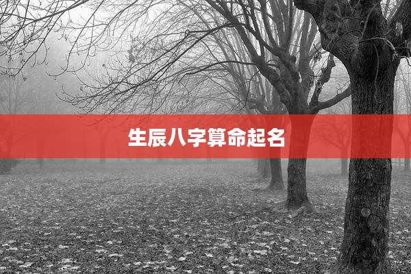 生辰八字算命起名