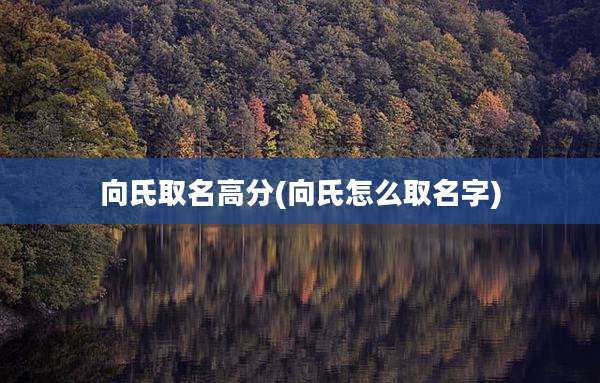 向氏取名高分(向氏怎么取名字)