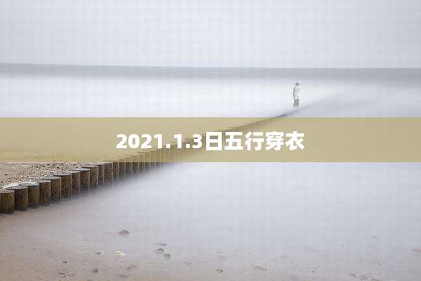 2021.1.3日五行穿衣