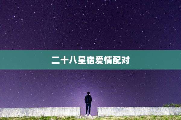 二十八星宿爱情配对
