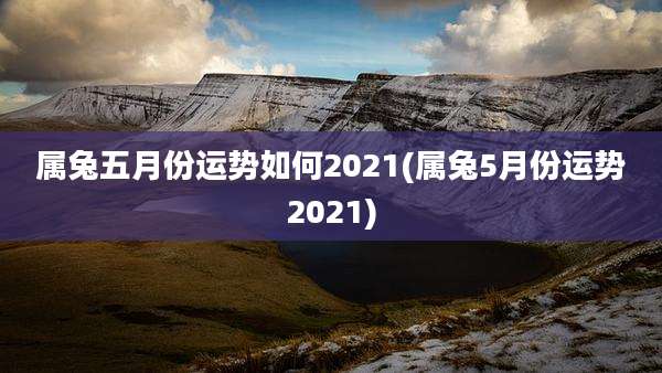 属兔五月份运势如何2021(属兔5月份运势2021)