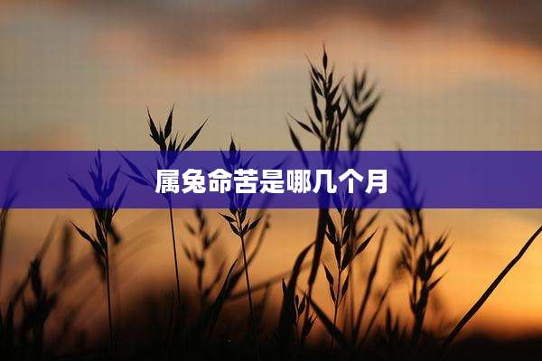属兔命苦是哪几个月