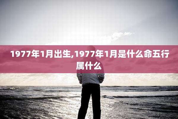 1977年1月出生,1977年1月是什么命五行属什么