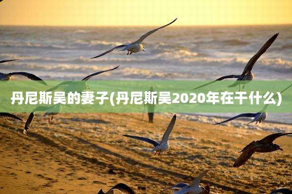 丹尼斯吴的妻子(丹尼斯吴2020年在干什么)
