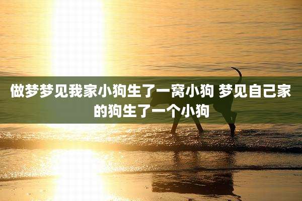 做梦梦见我家小狗生了一窝小狗 梦见自己家的狗生了一个小狗