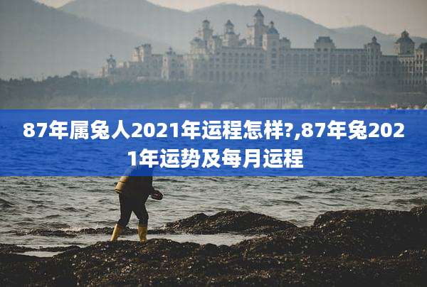 87年属兔人2021年运程怎样?,87年兔2021年运势及每月运程