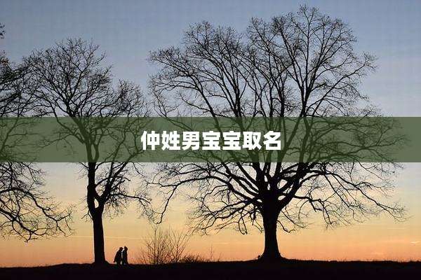 仲姓男宝宝取名