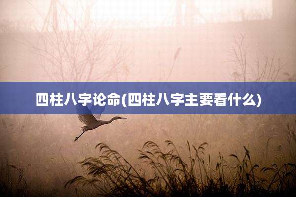 四柱八字论命(四柱八字主要看什么)