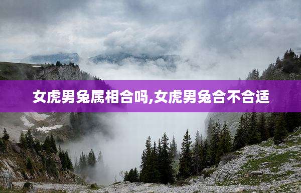 女虎男兔属相合吗,女虎男兔合不合适