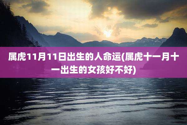 属虎11月11日出生的人命运(属虎十一月十一出生的女孩好不好)
