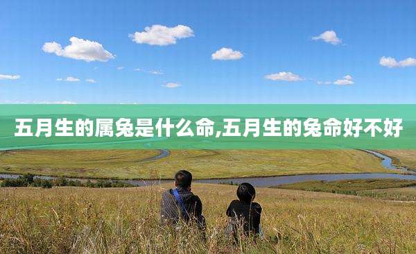 五月生的属兔是什么命,五月生的兔命好不好