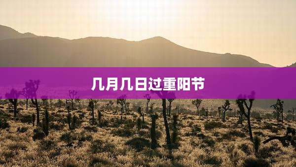 几月几日过重阳节