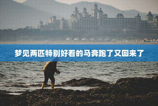 梦见两匹特别好看的马奔跑了又回来了