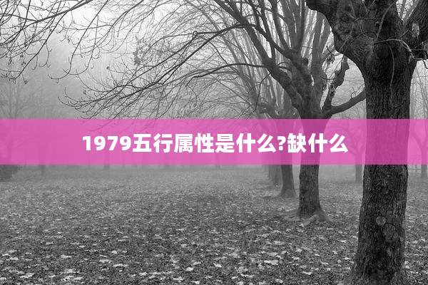1979五行属性是什么?缺什么