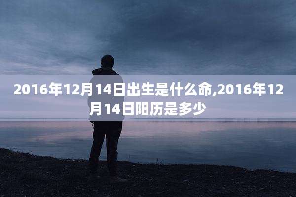 2016年12月14日出生是什么命,2016年12月14日阳历是多少
