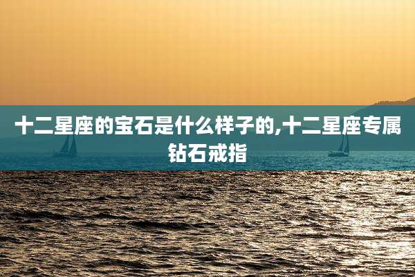 十二星座的宝石是什么样子的,十二星座专属钻石戒指