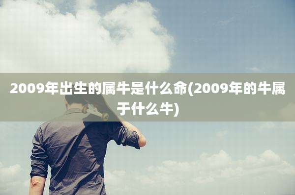 2009年出生的属牛是什么命(2009年的牛属于什么牛)