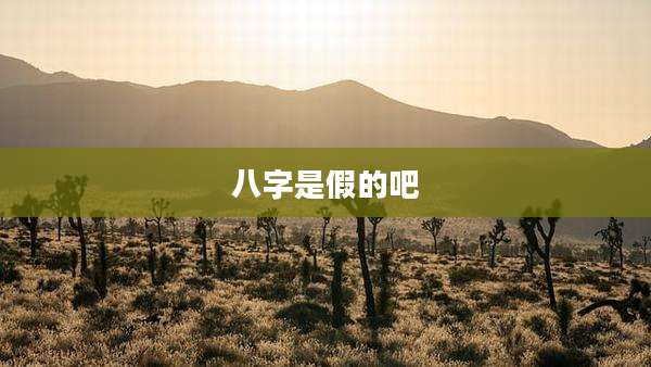 八字是假的吧