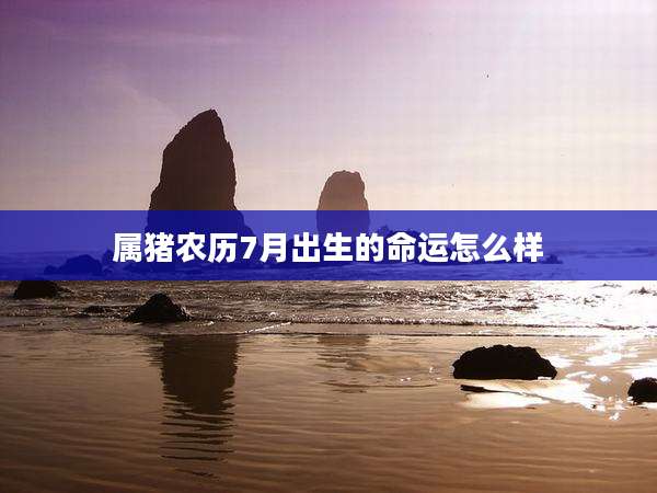 属猪农历7月出生的命运怎么样