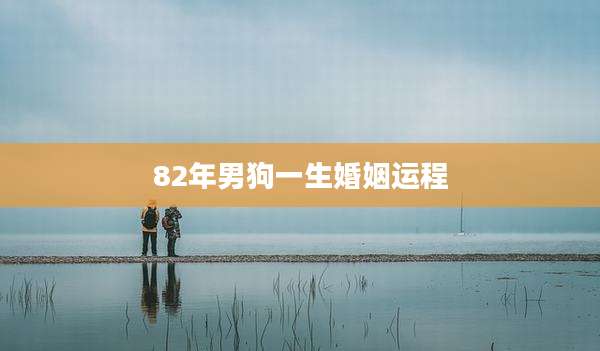 82年男狗一生婚姻运程