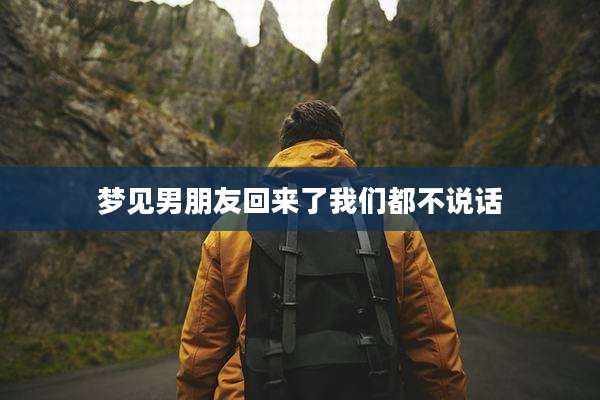 梦见男朋友回来了我们都不说话