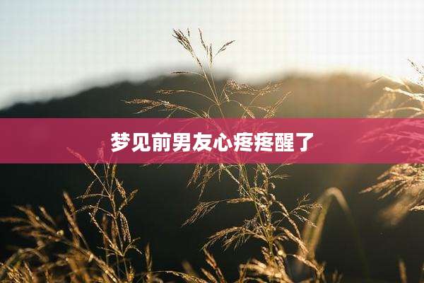 梦见前男友心疼疼醒了
