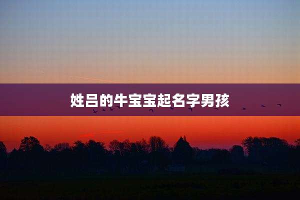 姓吕的牛宝宝起名字男孩