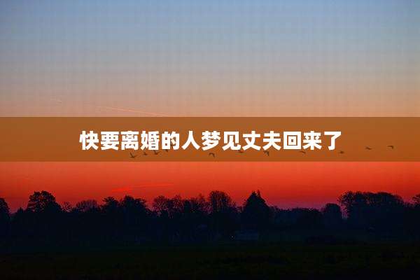 快要离婚的人梦见丈夫回来了