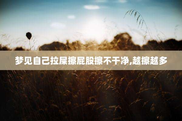 梦见自己拉屎擦屁股擦不干净,越擦越多