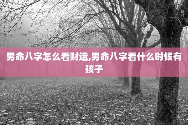 男命八字怎么看财运,男命八字看什么时候有孩子