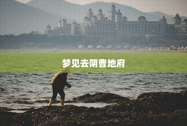 梦见去阴曹地府