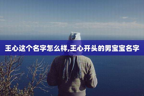 王心这个名字怎么样,王心开头的男宝宝名字